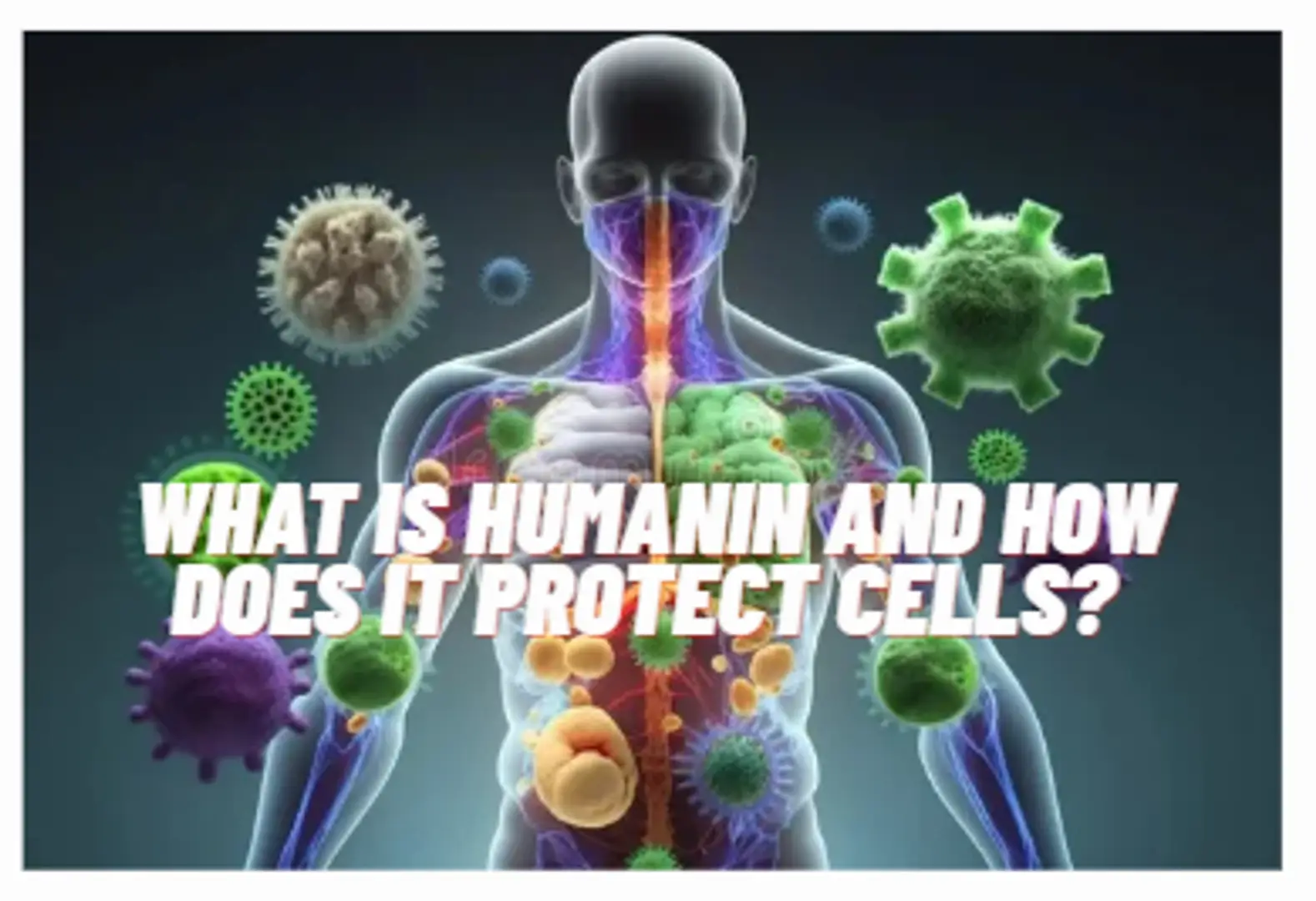 6932d7acbe6f7e1e7068b0b7